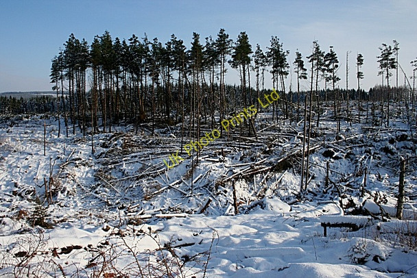 Photo 6"x4" Storm Damage Maggieknockater c2007