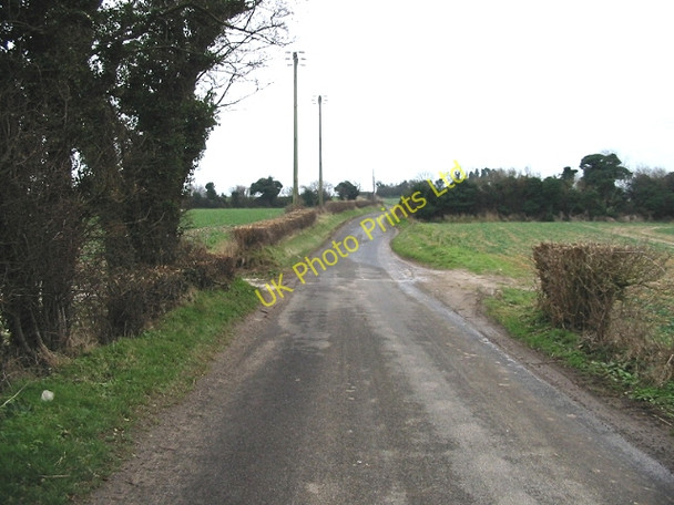 Photo 6"x4" Looking SE along Waldershare Lane East Langdon c2007