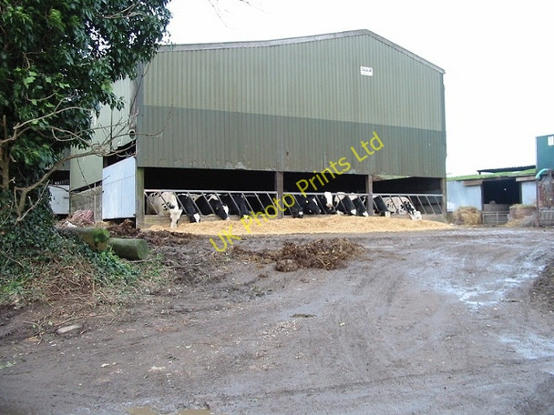 Photo 6"x4" Feeding time at Guston Court Farm Guston c2007