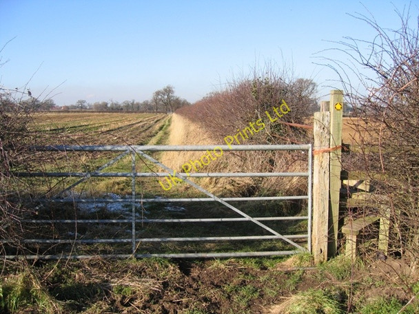 Photo 6"x4" Footpath from Dark Lane to Burwardsley Road Tattenhall c2007 P1