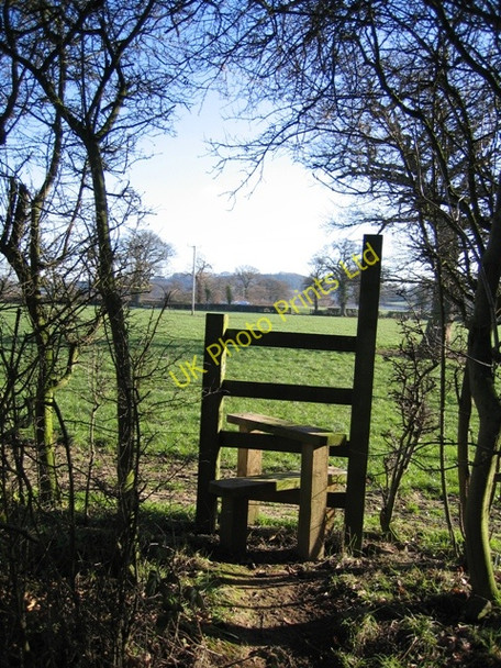 Photo 6"x4" Footpath from Burwardsley Road to Dark Lane #9 Tattenhall c2007