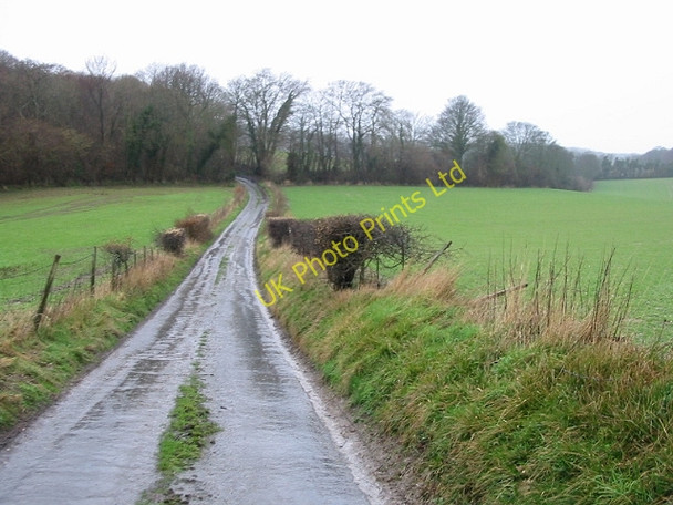 Photo 6"x4" Looking W along Geddinge Lane Wootton\/TR2246 c2007