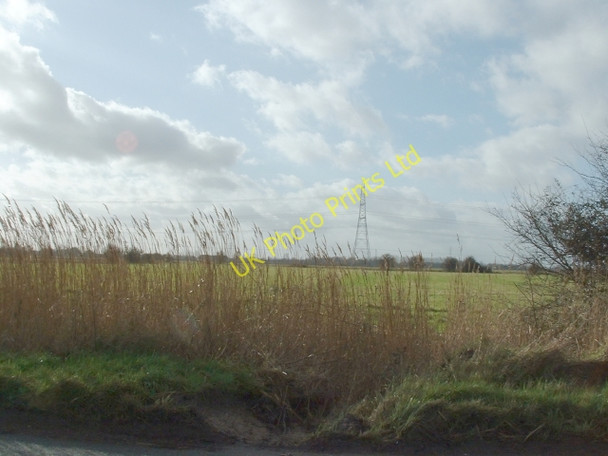 Photo 6"x4" Reeds and sky near Walton Highway Walton Highway c2007
