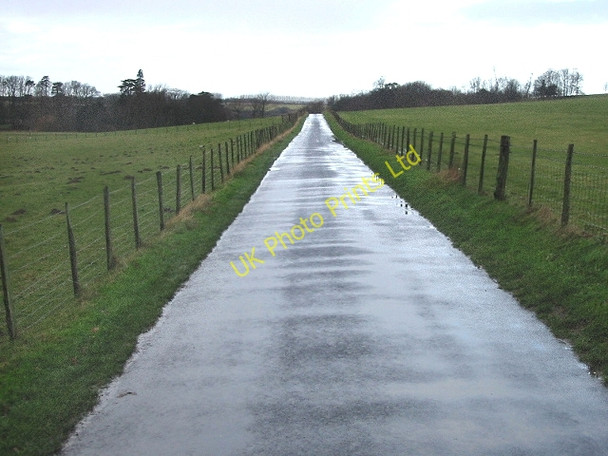 Photo 6"x4" Road through Bourne Park Bishopsbourne c2007