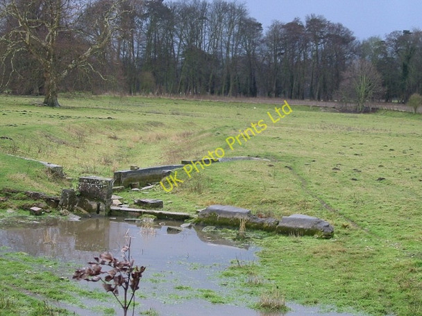 Photo 6"x4" All that exists of the river Nailbourne at the moment Bishopsbourne c2007