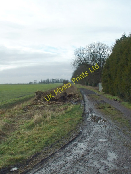 Photo 6"x4" Track to Needham Hall, Friday Bridge Collett's Br c2007