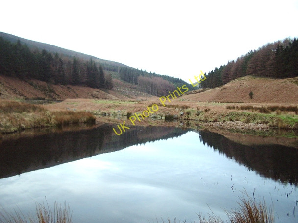 Photo 6"x4" Duck pond Dunsop Bridge c2007
