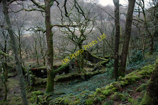 Photo 6"x4" Ruin above Llyn Dinas Bethania\/SH6250 c2007