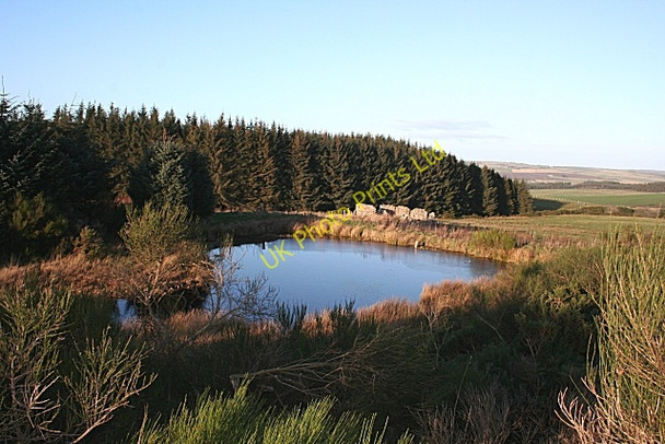 Photo 6"x4" Upper Broadfield Towiemore c2007 P1