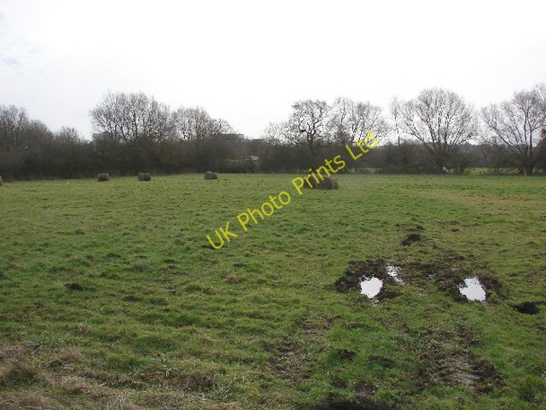 Photo 6"x4" Field in Old Marston Oxford\/SP5106 c2007