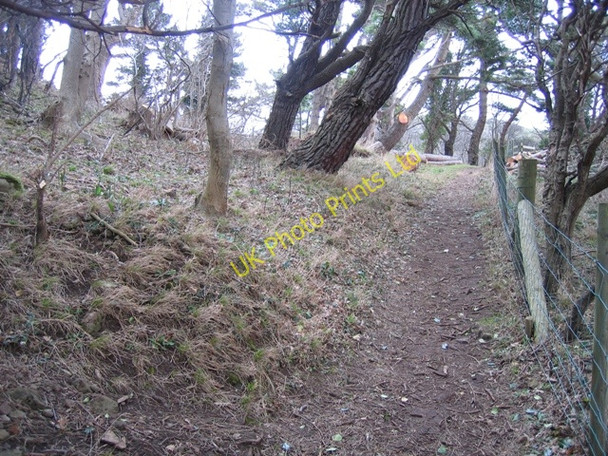 Photo 6"x4" Footpath to Rofft Gate Llandudno c2007