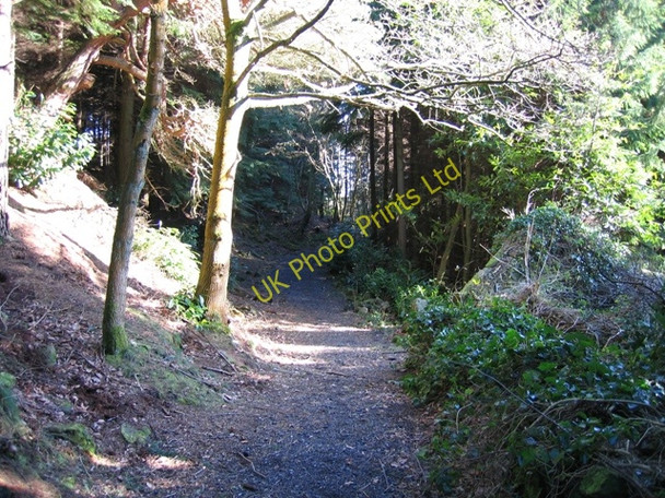 Photo 6"x4" Footpath and Ruin in Nant y Ffrith Woodland Bwlchgwyn\/SJ2653 c2007