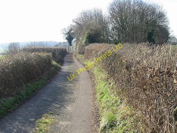Photo 6"x4" Looking S along School Lane Lower Hardres c2007