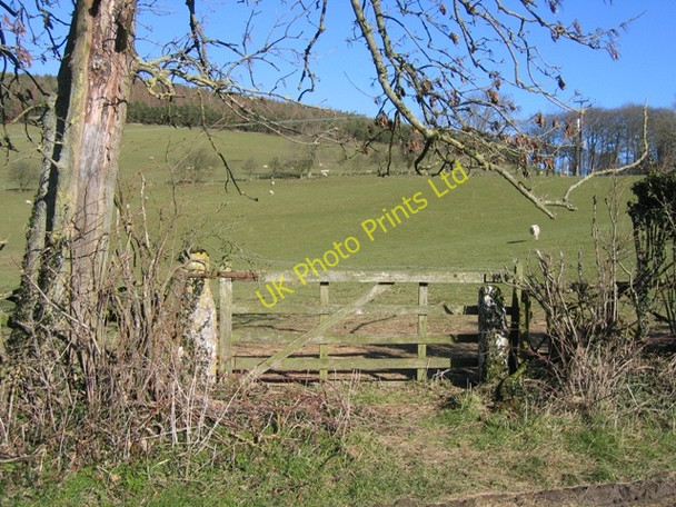 Photo 6"x4" Field Gate below Moel yr Accre Pentre-celyn\/SJ1453 c2007