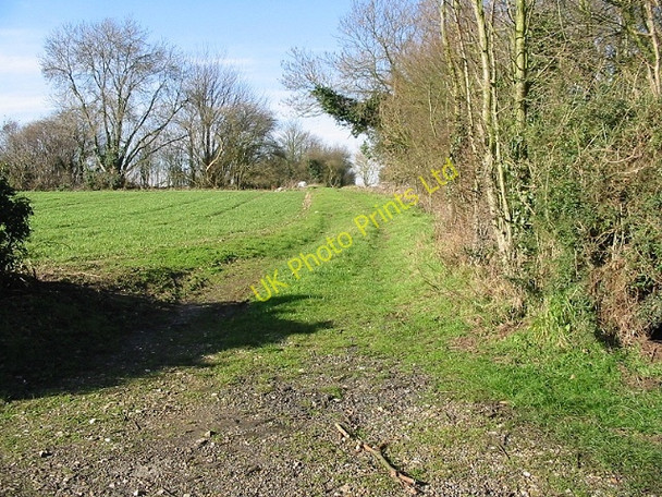 Photo 6"x4" Looking W from Hogg Lane Upper Hardres Court c2007
