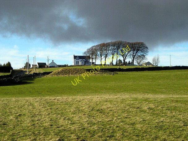 Photo 6"x4" Blairhill Near Crawfordjohn Crawfordjohn c2007