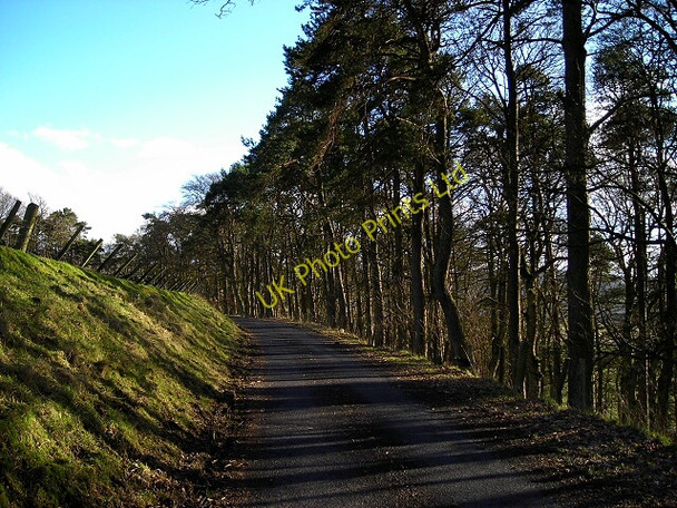 Photo 6"x4" Minor Road Near Mountherrick Crawfordjohn c2007