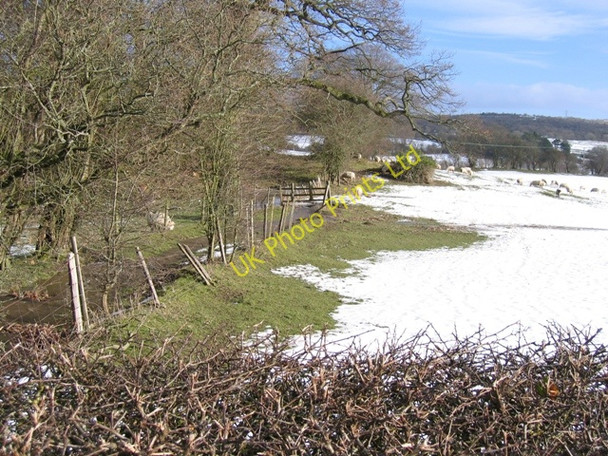 Photo 6"x4" Sheepfield near Llanarmon yn Ial Bryn-yr-ogof c2007