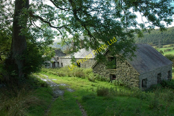 Photo 6"x4" Tyddyn Tyfod. Bethel\/SH9839 c2006