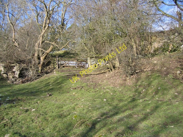 Photo 6"x4" Track and Lime Kiln Bryn-yr-ogof c2007