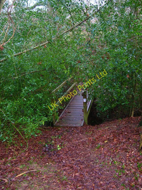 Photo 6"x4" Footbridge, Eight Acre Wood Bachelor's Bump c2007