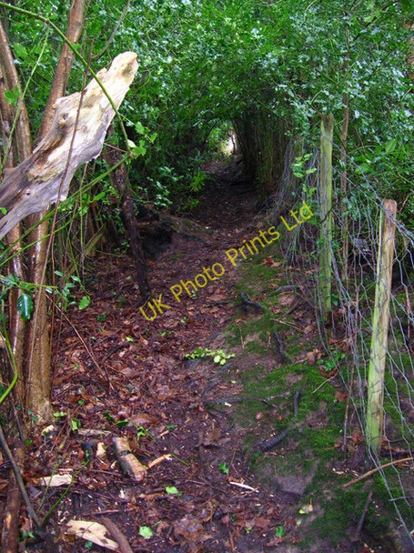 Photo 6"x4" Footpath to Eight Acre Lane Bachelor's Bump c2007
