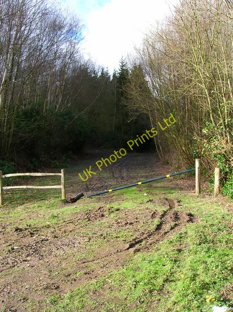 Photo 6"x4" Forestry Track, Brassetts Wood Pestalozzi International Village c2007