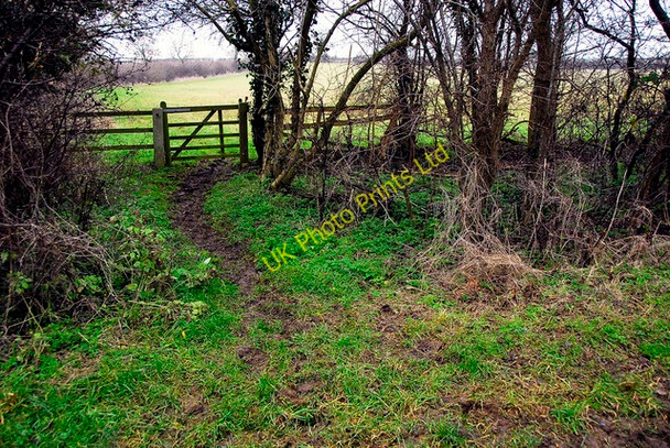 Photo 6"x4" Gate in the hedge, Charlton - Croughton Hinton-in-the-Hedges c2006