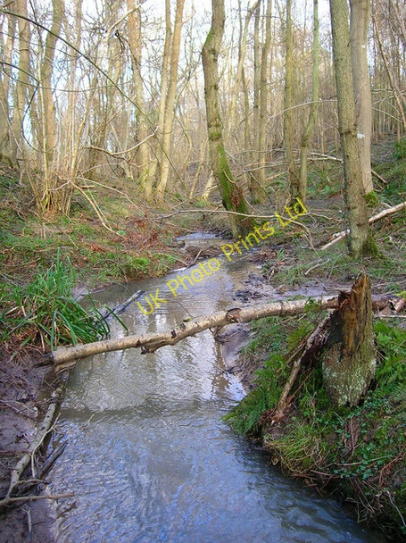 Photo 6"x4" Stream, Keepers Wood Baldslow c2007