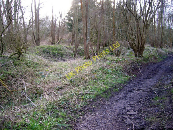 Photo 6"x4" Roman Slag Heap, Beauport Park Baldslow c2007