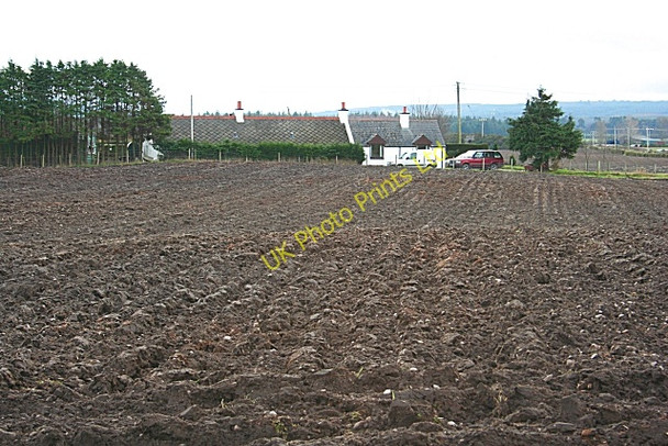 Photo 6"x4" Ivy Cottage, Blackdam Crofts of Dipple c2007