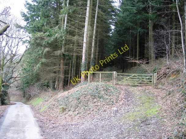 Photo 6"x4" Forestry near Sodom Covert Sodom\/SJ0971 c2007