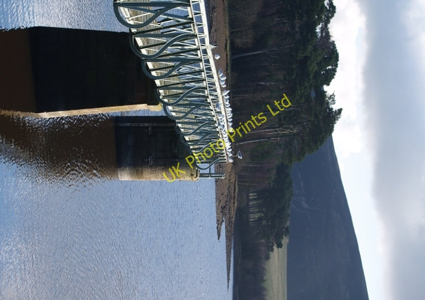 Photo 6"x4" Seagulls, Harlaw Reservoir Currie c2007