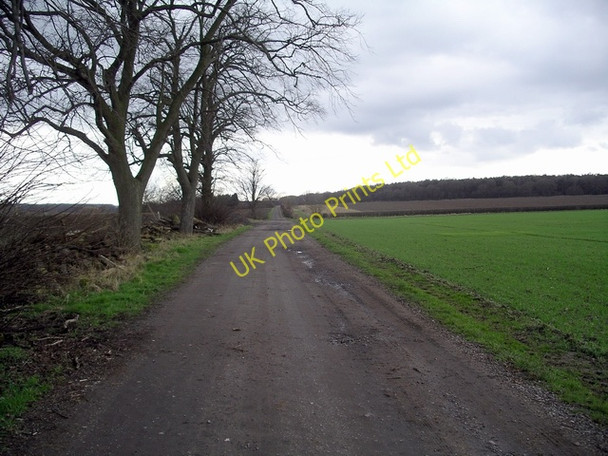 Photo 6"x4" Robin Hood Way Eakring c2007