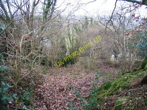 Photo 6"x4" Ancient Track below Bryn Golau Pen-y-felin\/SJ1569 c2007