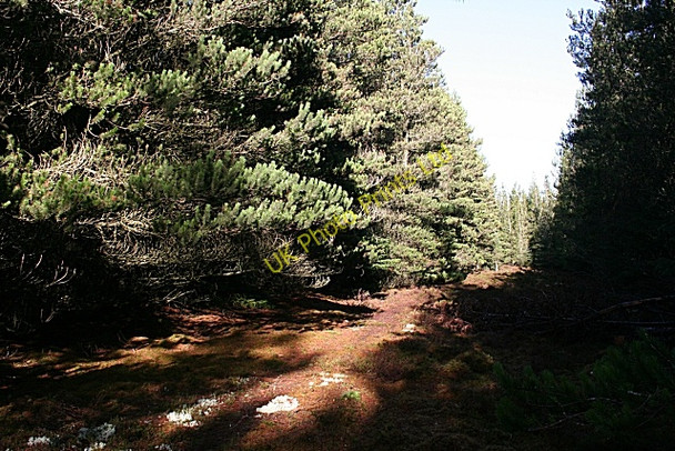 Photo 6"x4" Hill of Maud Drybridge\/NJ4362 c2007