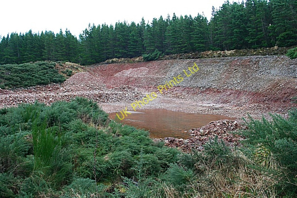 Photo 6"x4" Forest Quarry Drybridge\/NJ4362 c2007