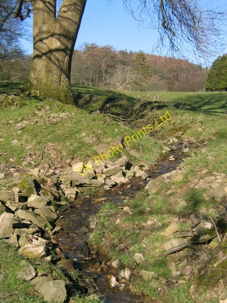 Photo 6"x4" Stream below Bodidris Hall Hotel Gwernol c2007