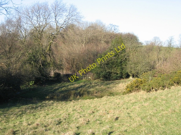 Photo 6"x4" A Spring on the Clwydian Way Gwernol c2007