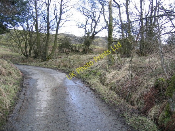 Photo 6"x4" Minor Road Corner near Ty-cerrig Bryneglwys\/SJ1447 c2007
