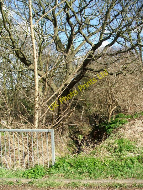 Photo 6"x4" Stream flowing from Boxer's Lake to Salmon's Brook, Enfield, looking towards World's End Southgate\/TQ3094 c2007