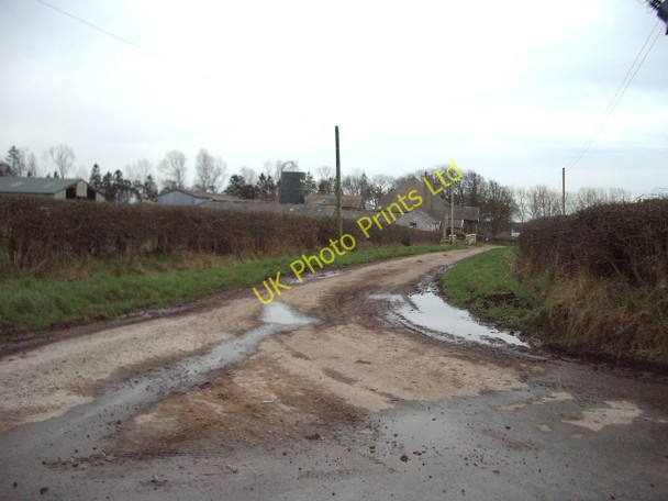 Photo 6"x4" The Road Low Hallburn Longtown\/NY3868 c2007