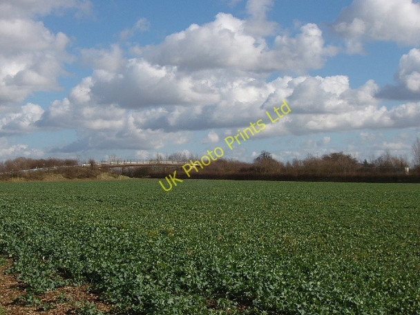 Photo 6"x4" Brassica field and footbridge over A34 Kidlington c2007