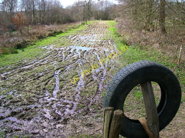 Photo 6"x4" Motocross Circuit, Boggy Wood Lower Dicker c2007