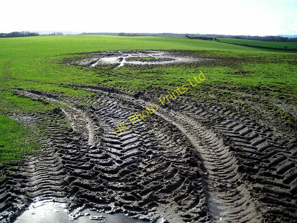 Photo 6"x4" Muddy Field Near West Roucan Torthorwald c2007
