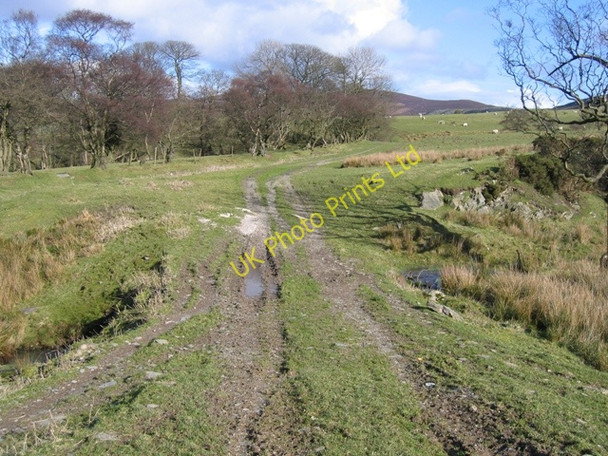 Photo 6"x4" Footpath to Hafod-lwyd Pentredwr c2007