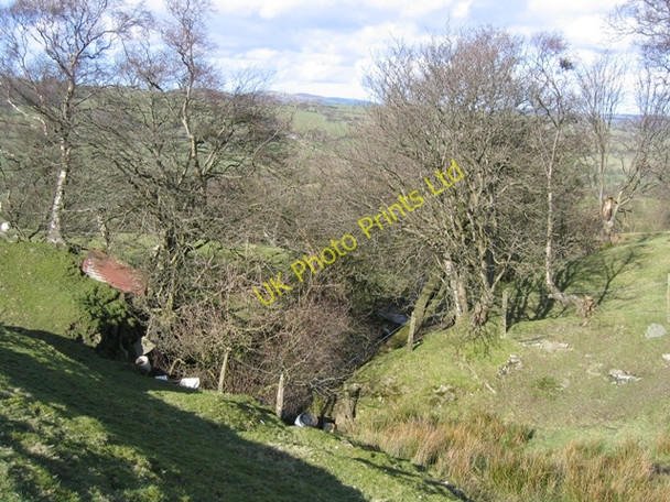 Photo 6"x4" Stream Valley near Gwern-brain-uchaf Pentredwr c2007