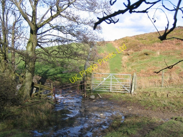 Photo 6"x4" Bridleway near Pen-bedw Bryneglwys\/SJ1447 c2007 P1