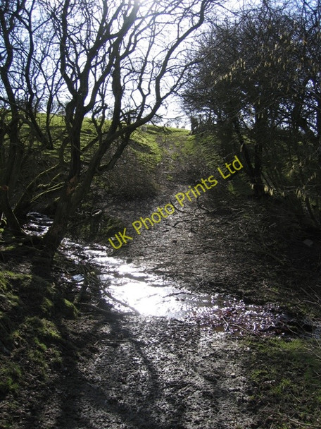 Photo 6"x4" Stream Crossing near Pen-bedw Bryneglwys\/SJ1447 c2007