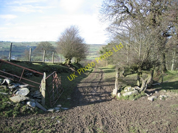 Photo 6"x4" Private Track to Pen-bedw Bryneglwys\/SJ1447 c2007